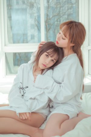 拉布拉多警长100集