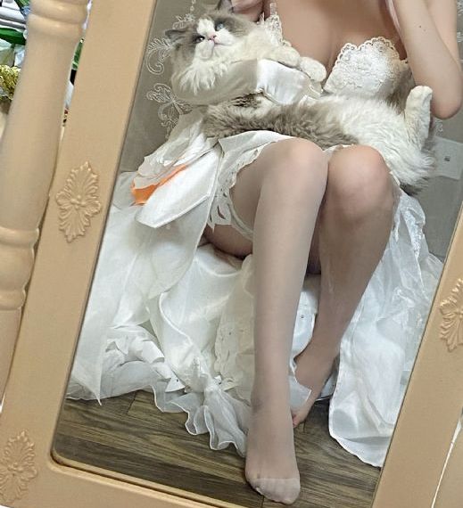 ova拯救精灵森林第四集