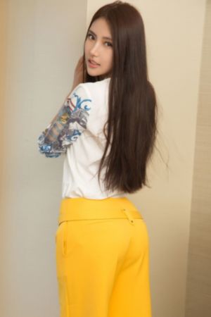 亲密的搭档