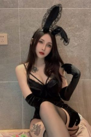 窈窕淑女在线观看全集
